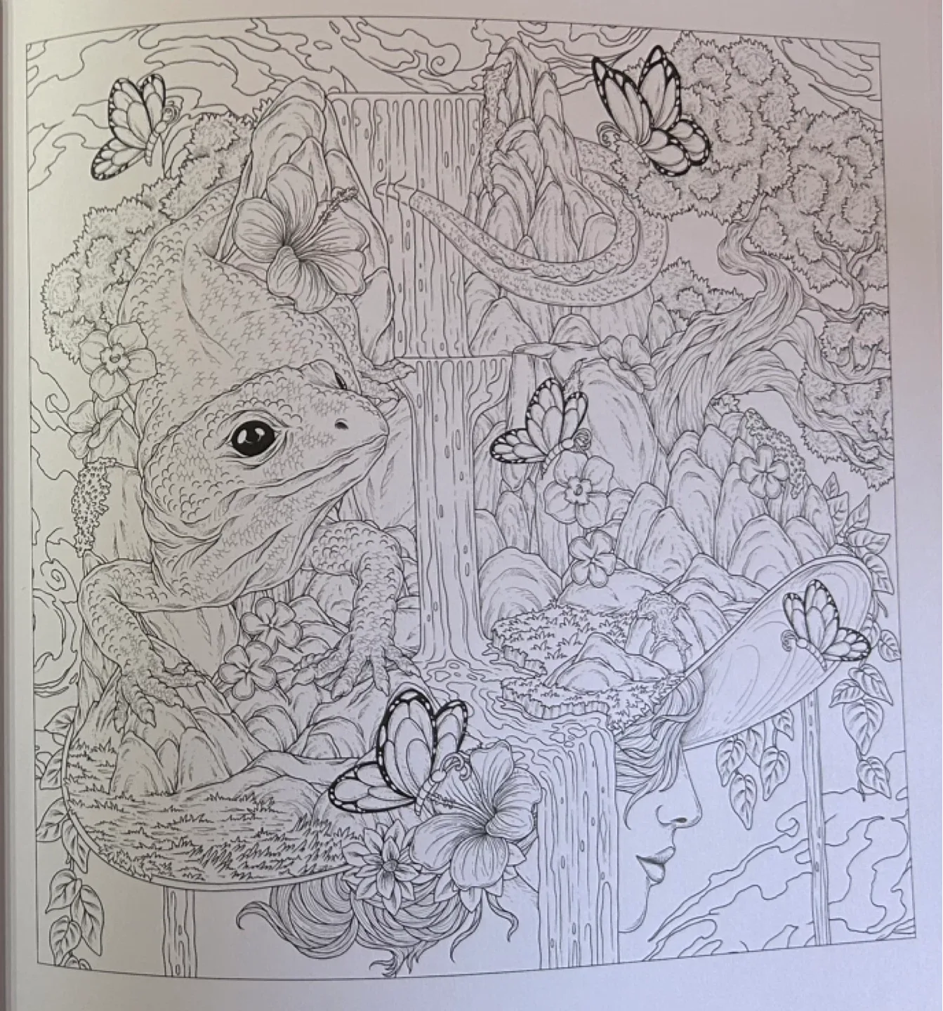 Mythographic Color and Discover: Wild Summer Colouring Book image indicator(2)