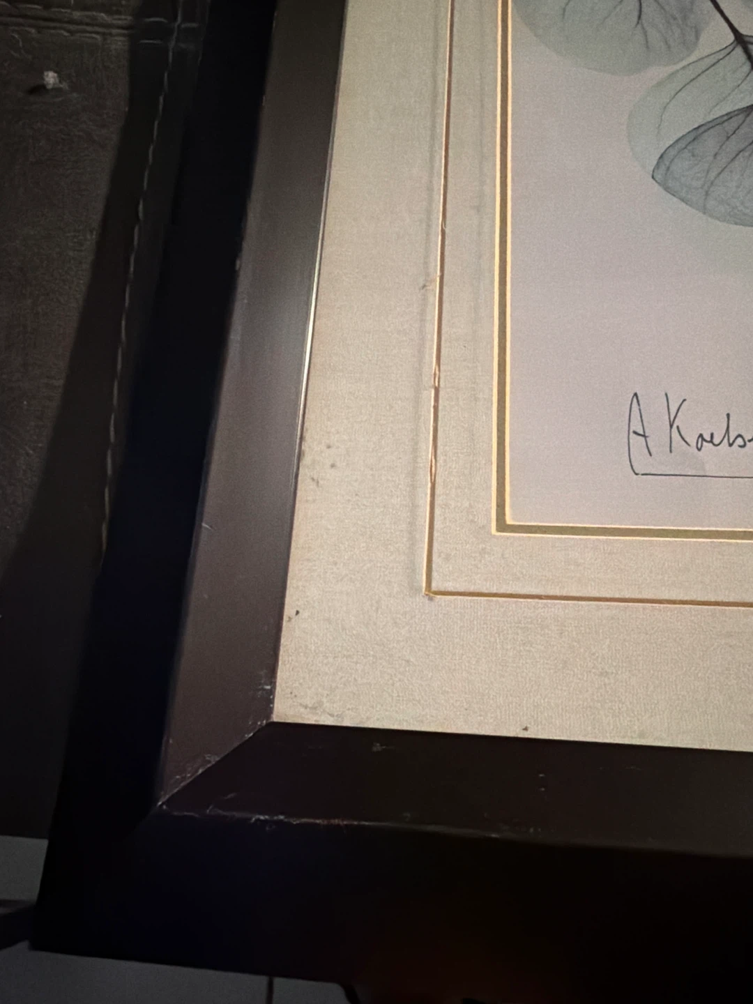 Framed Eucalyptus Print - photo 3