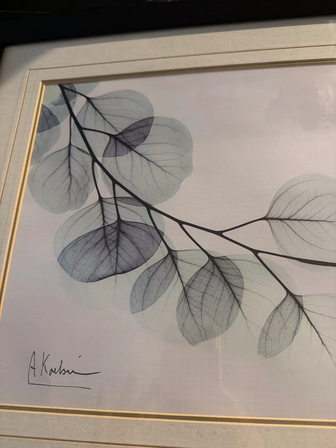 Framed Eucalyptus Print - photo 4