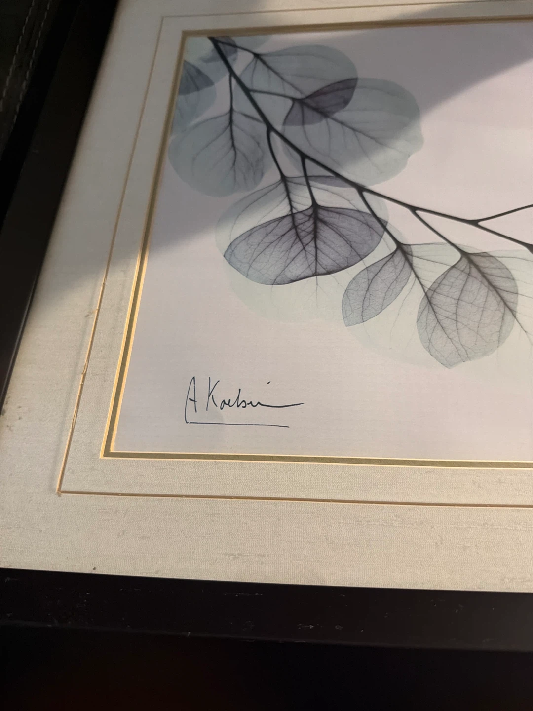 Framed Eucalyptus Print - photo 2