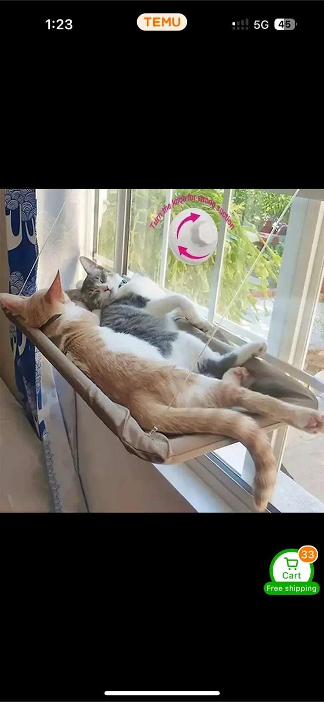 New Temu Cat Window Hammock Bed