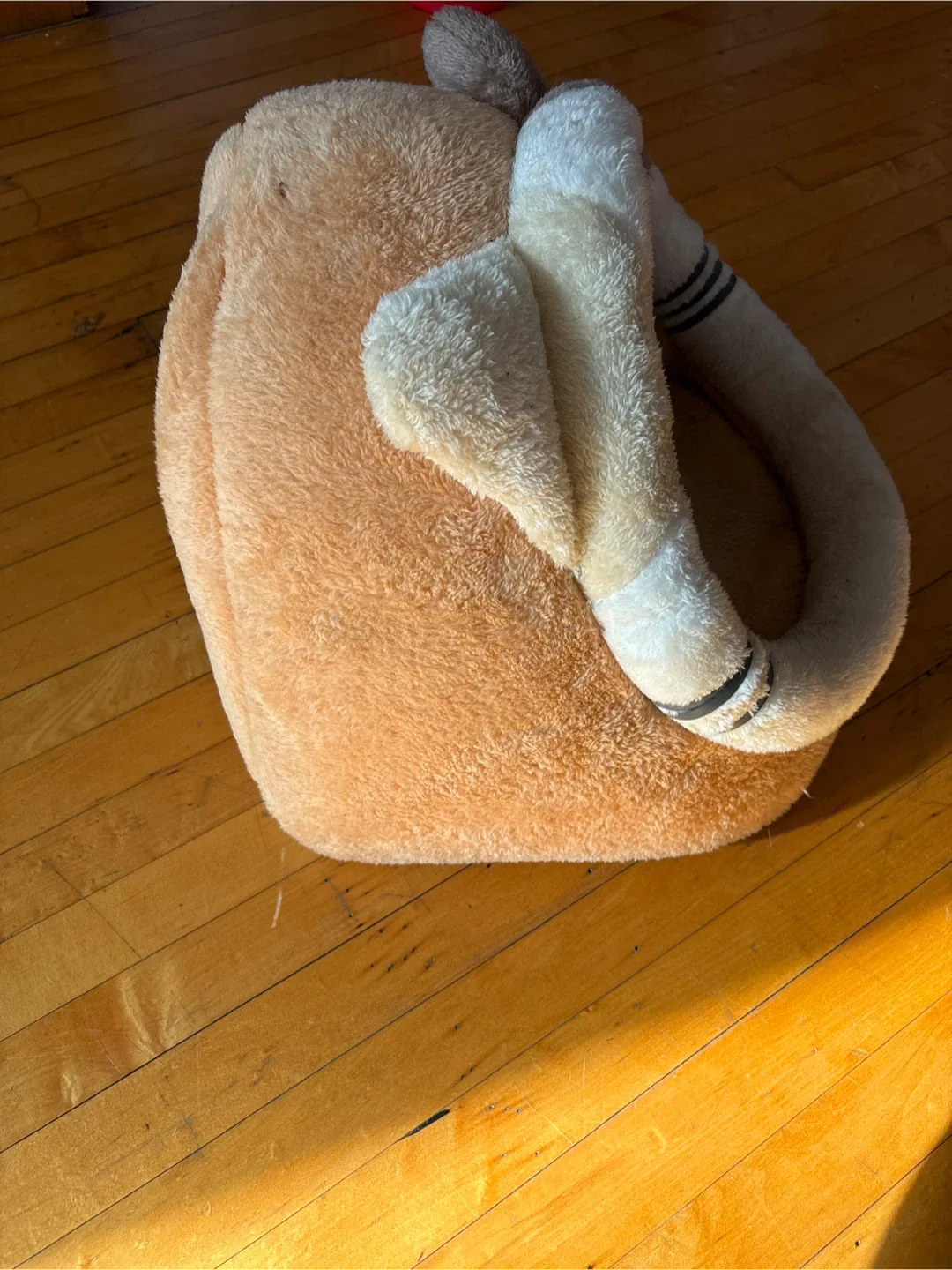 Cute Cat Bed image indicator(2)