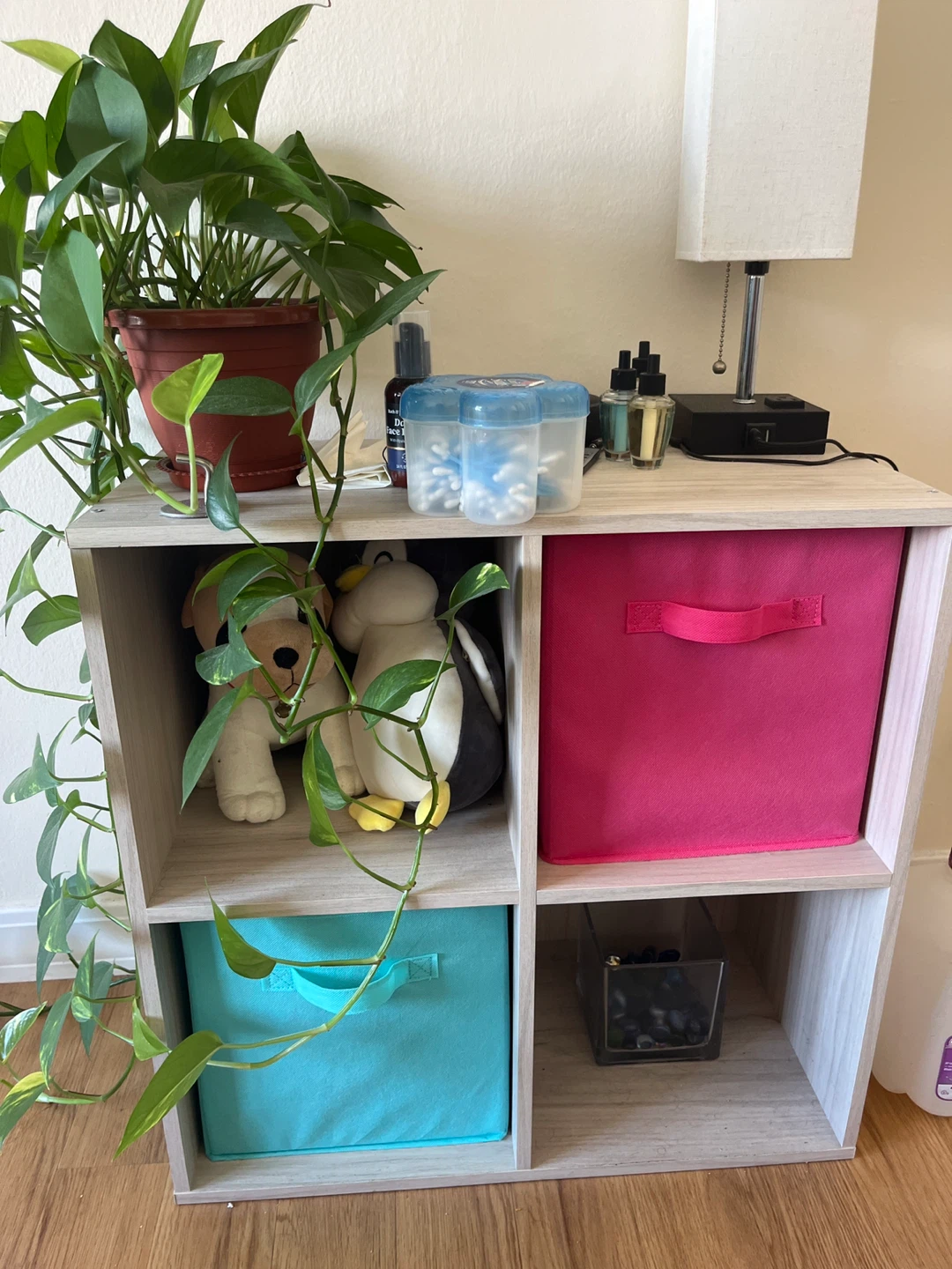 Storage Cubes  with Pink and Blue storage boxes