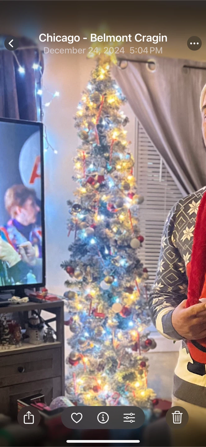 Ashland 7 ft Pre-Lit Flocked Pencil Tree