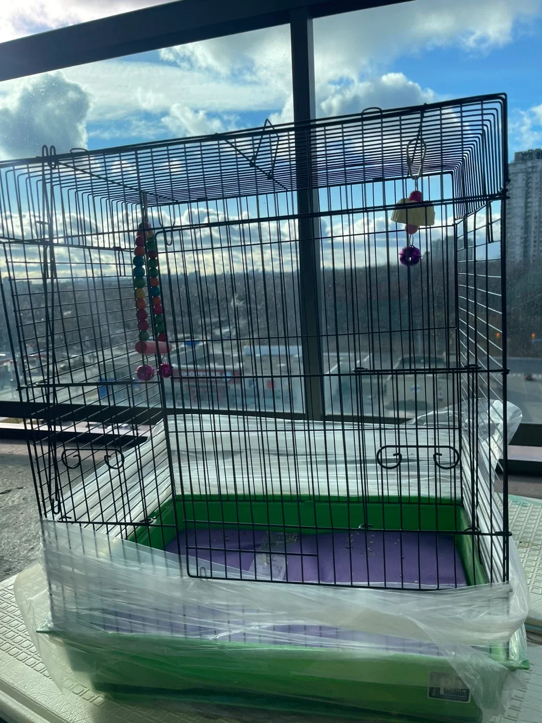New Bird Cage