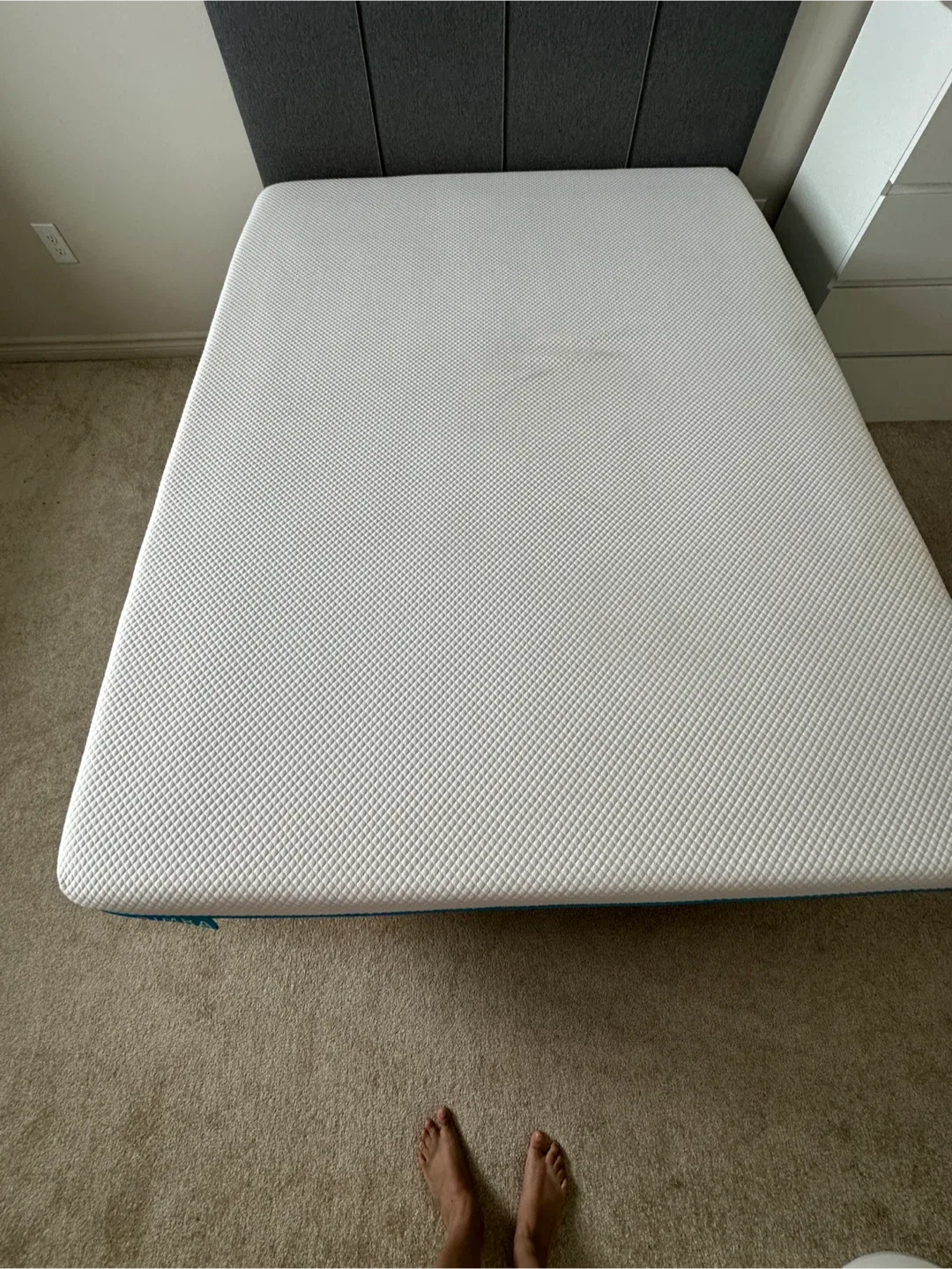 Sleep country Queen - Simba Mattress image indicator(5)