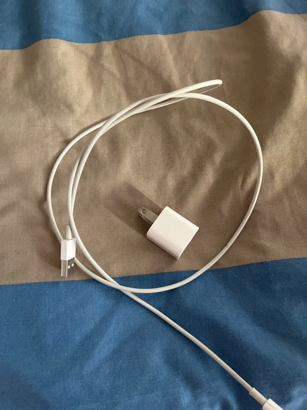 Apple Charger & Lightning Cable