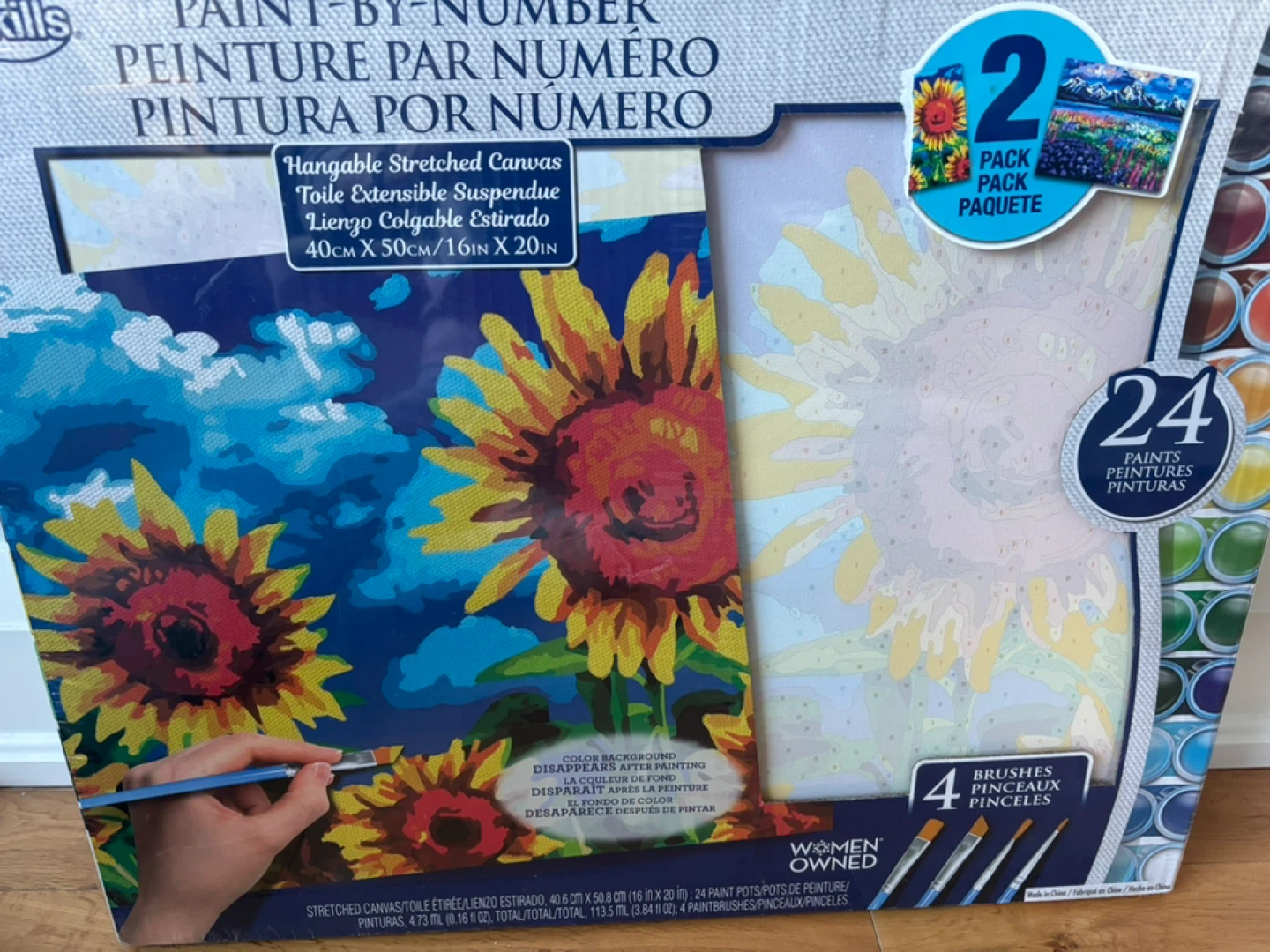 ArtSkills Paint-By-Number Kit, 2-Pack, New!
