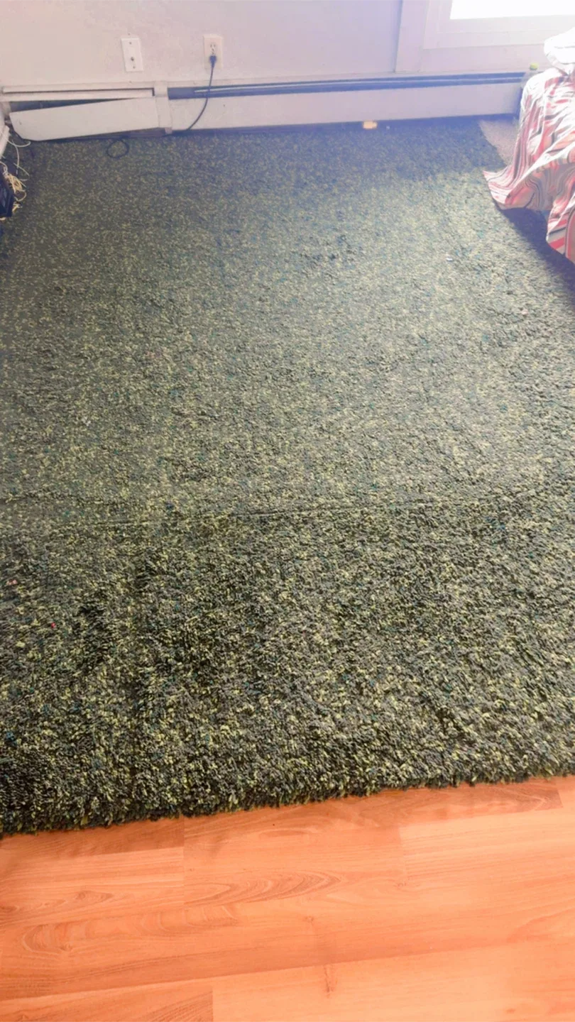 Large ikea Green Shag Rug