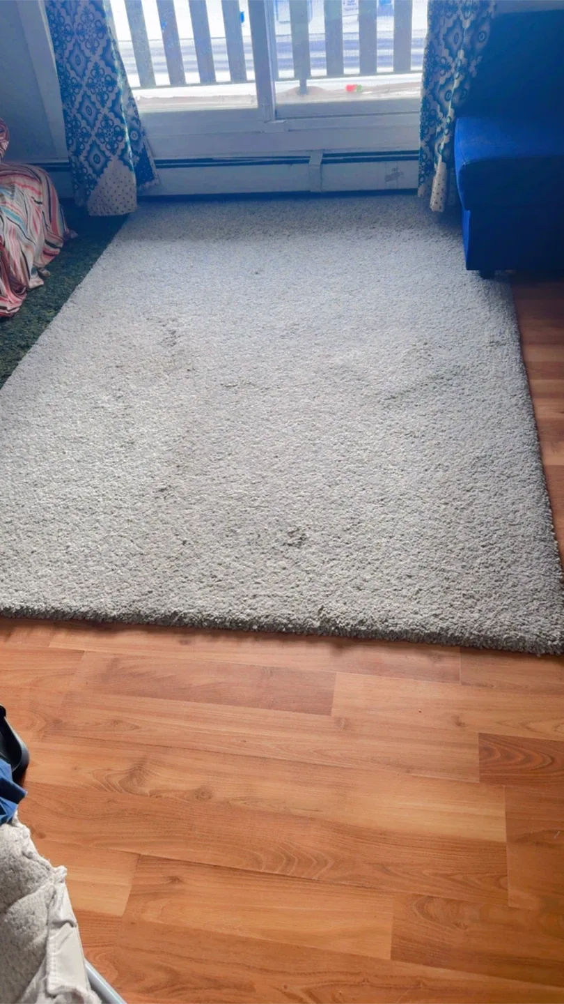 Neutral Area Rug