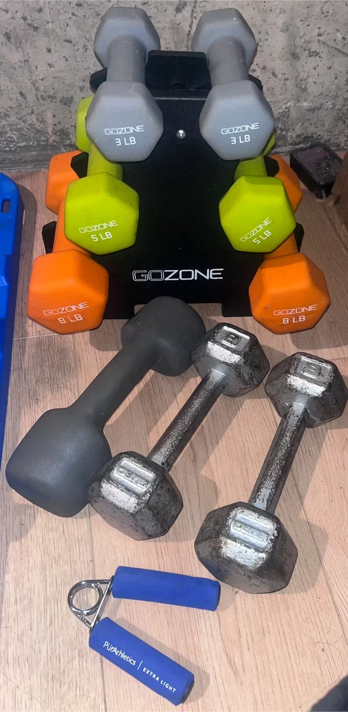 GoZone Dumbbells - 3lb, 5lb, 8lb + PurAthletics Grip
