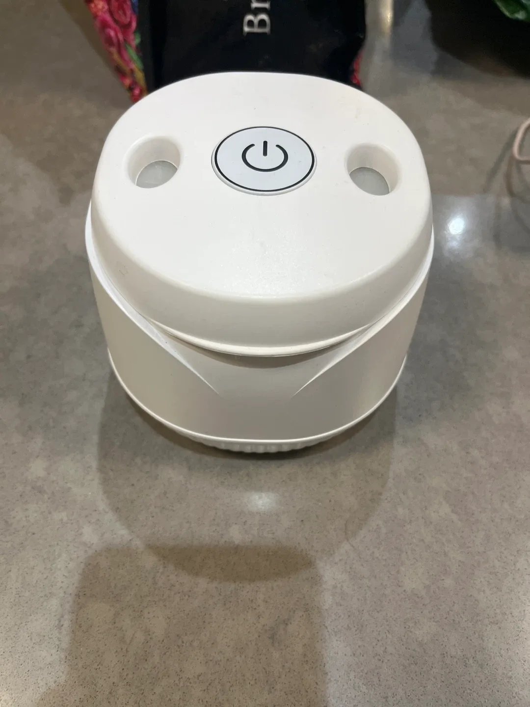 Mini Electric Food Chopper - White