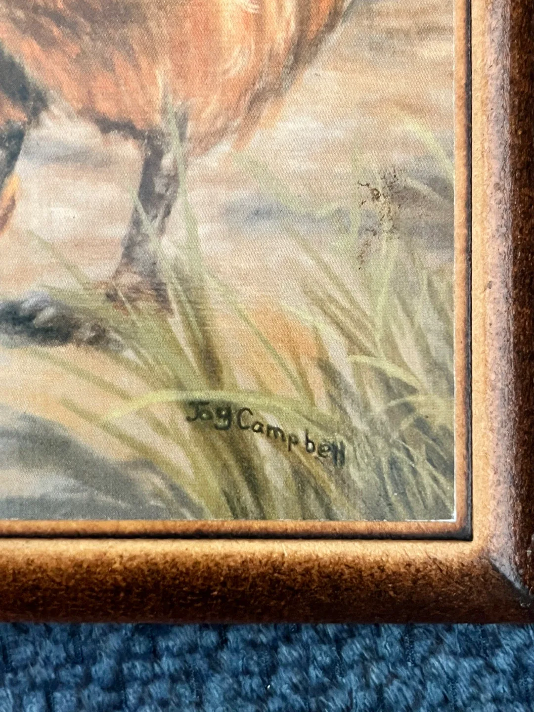 Joy Campbell Chicken Framed Prints - Set of 2 image indicator(4)