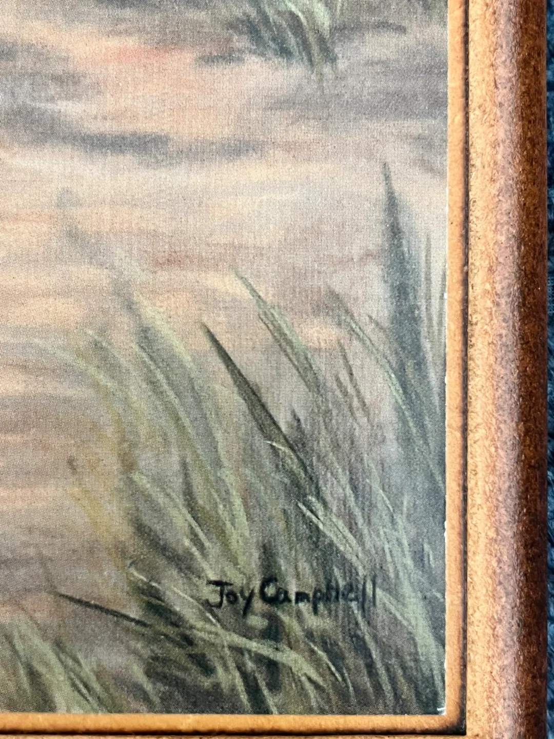 Joy Campbell Chicken Framed Prints - Set of 2 image indicator(5)