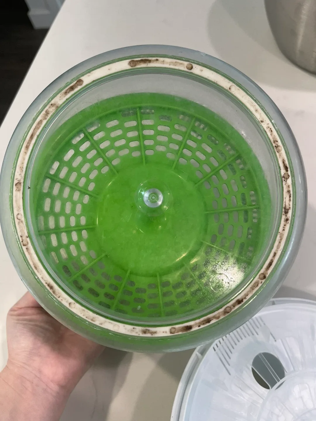 Cuisinart Salad Spinner with Easy-to-Spin Knob 5 Quart image indicator(6)