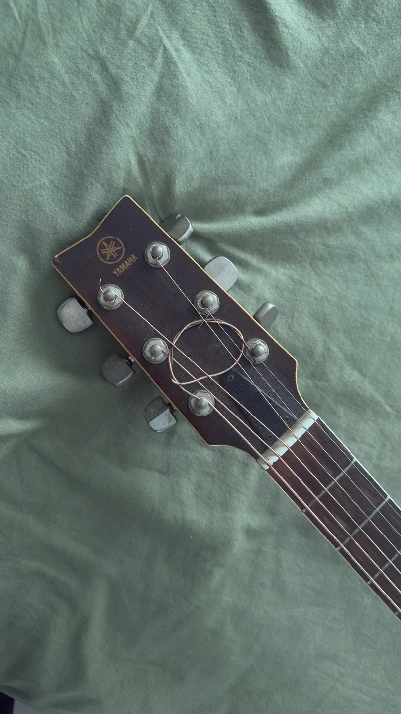 Yamaha Acoustic Guitar image indicator(2)