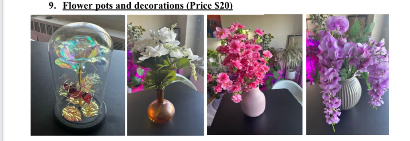 Flower Pots and Decorations