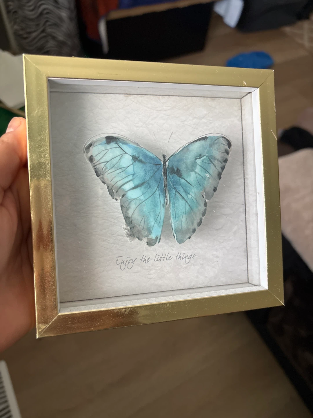 Framed Butterfly Wall Art