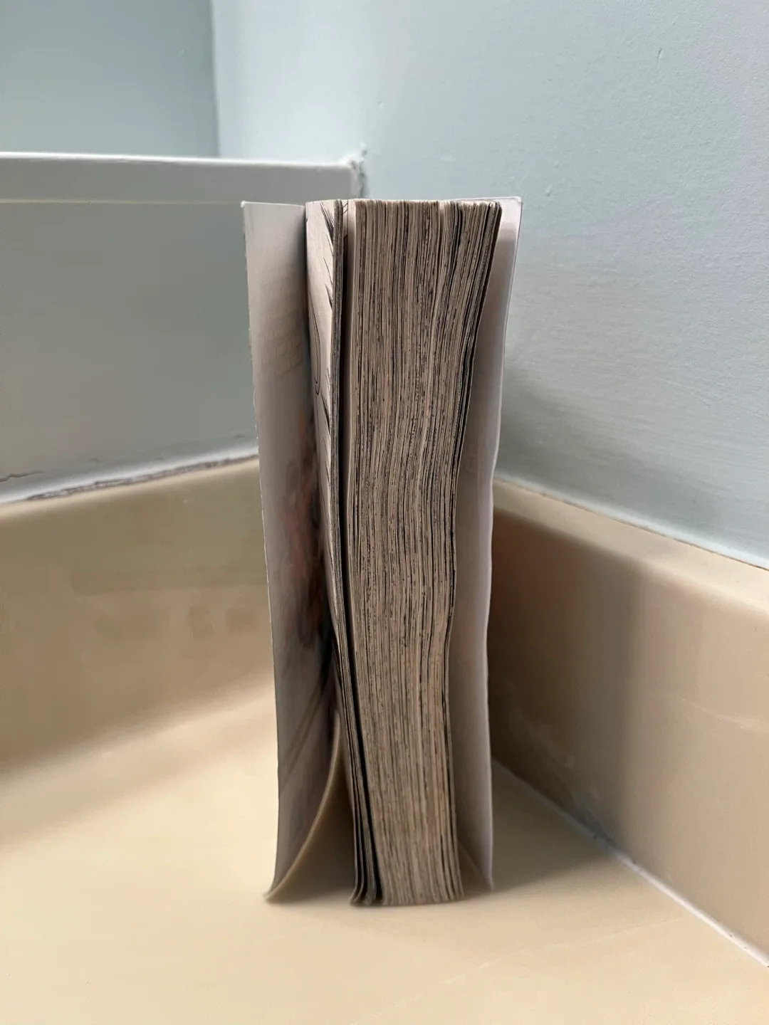 Pokemon Adventures Gold & Silver Vol. 12 Manga image indicator(3)