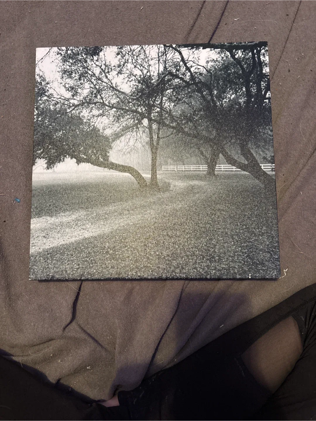 Printed canvas photo!