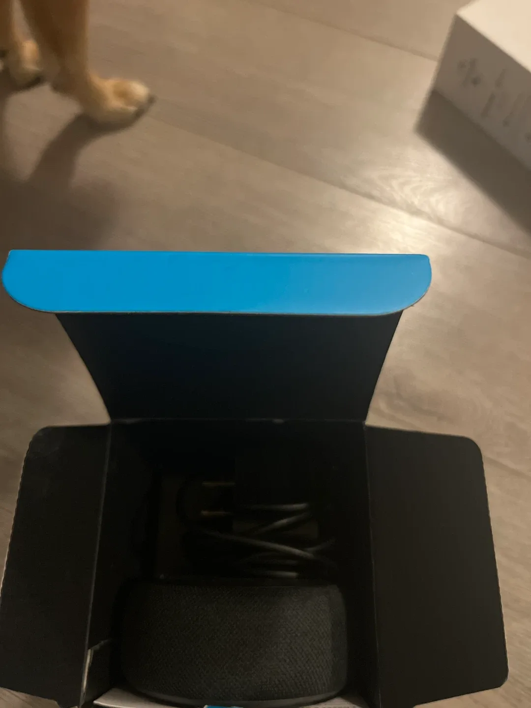 New Amazon Echo Dot - Add Alexa to Any Room image indicator(2)