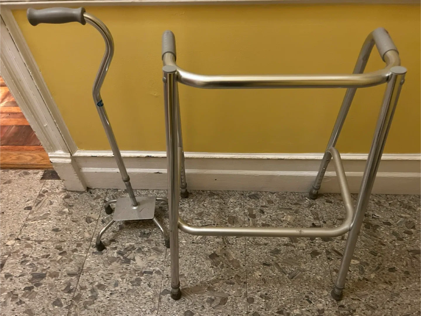 Walker and Quad Cane Set