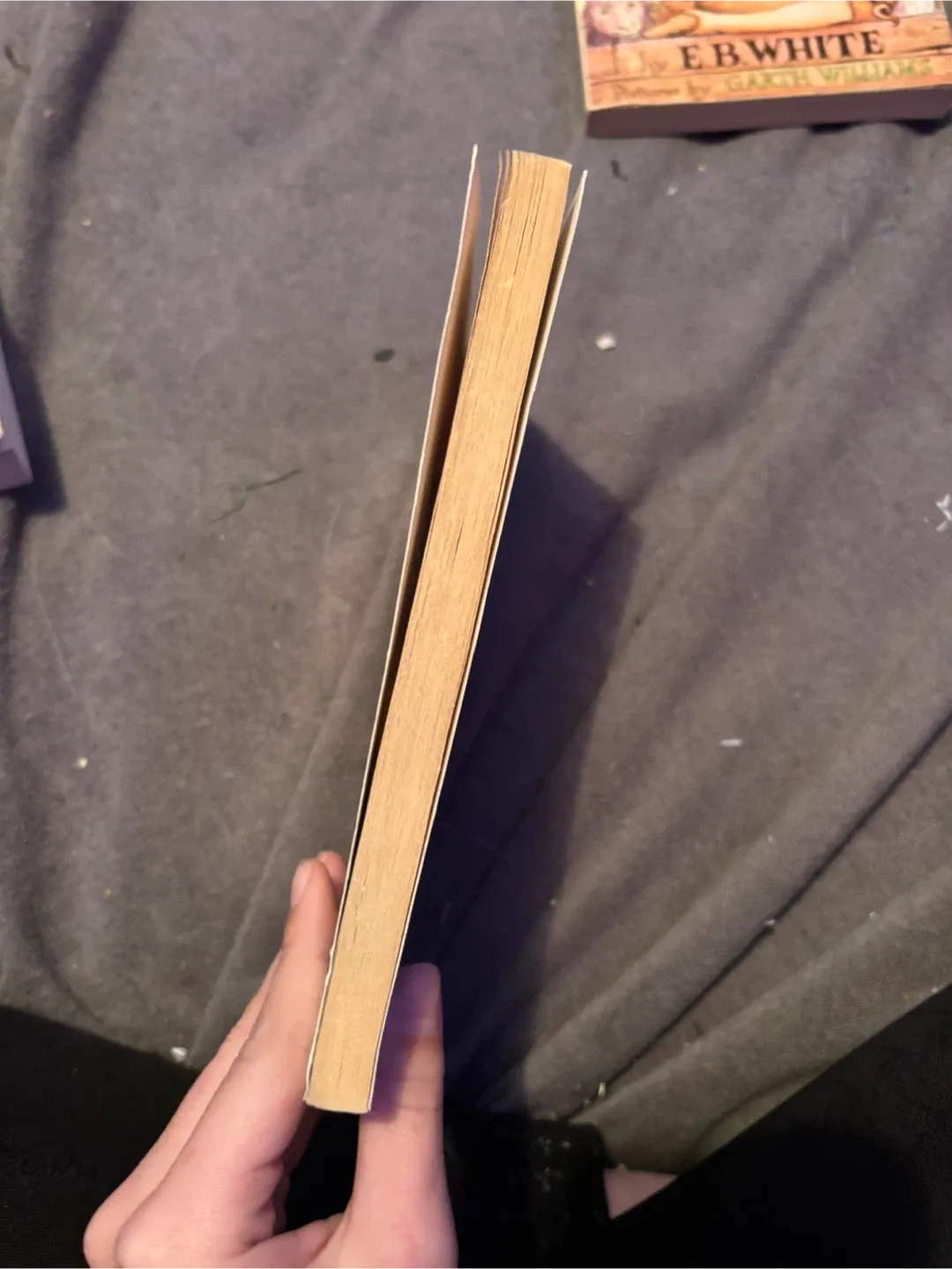 Spooksville: The Haunted Cave by Christopher Pike image indicator(3)