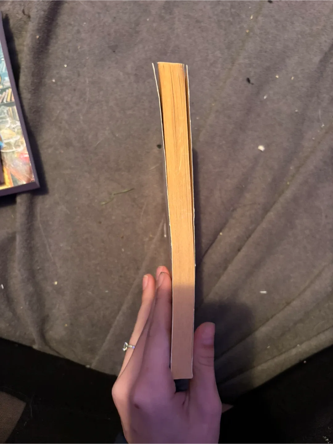 Charlotte's Web by E.B. White image indicator(3)