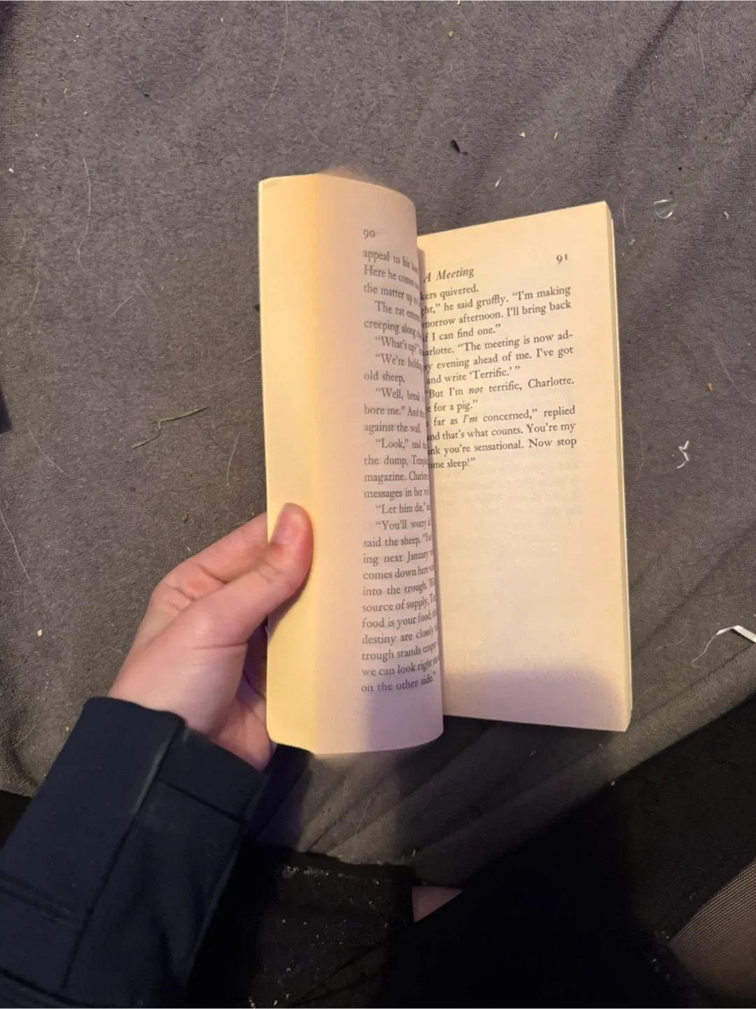 Charlotte's Web by E.B. White image indicator(4)