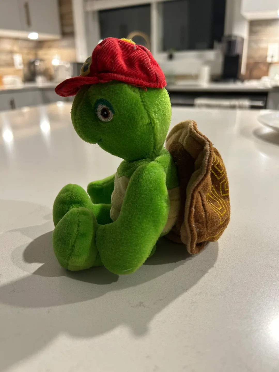 Franklin the Turtle Plush Toy image indicator(3)