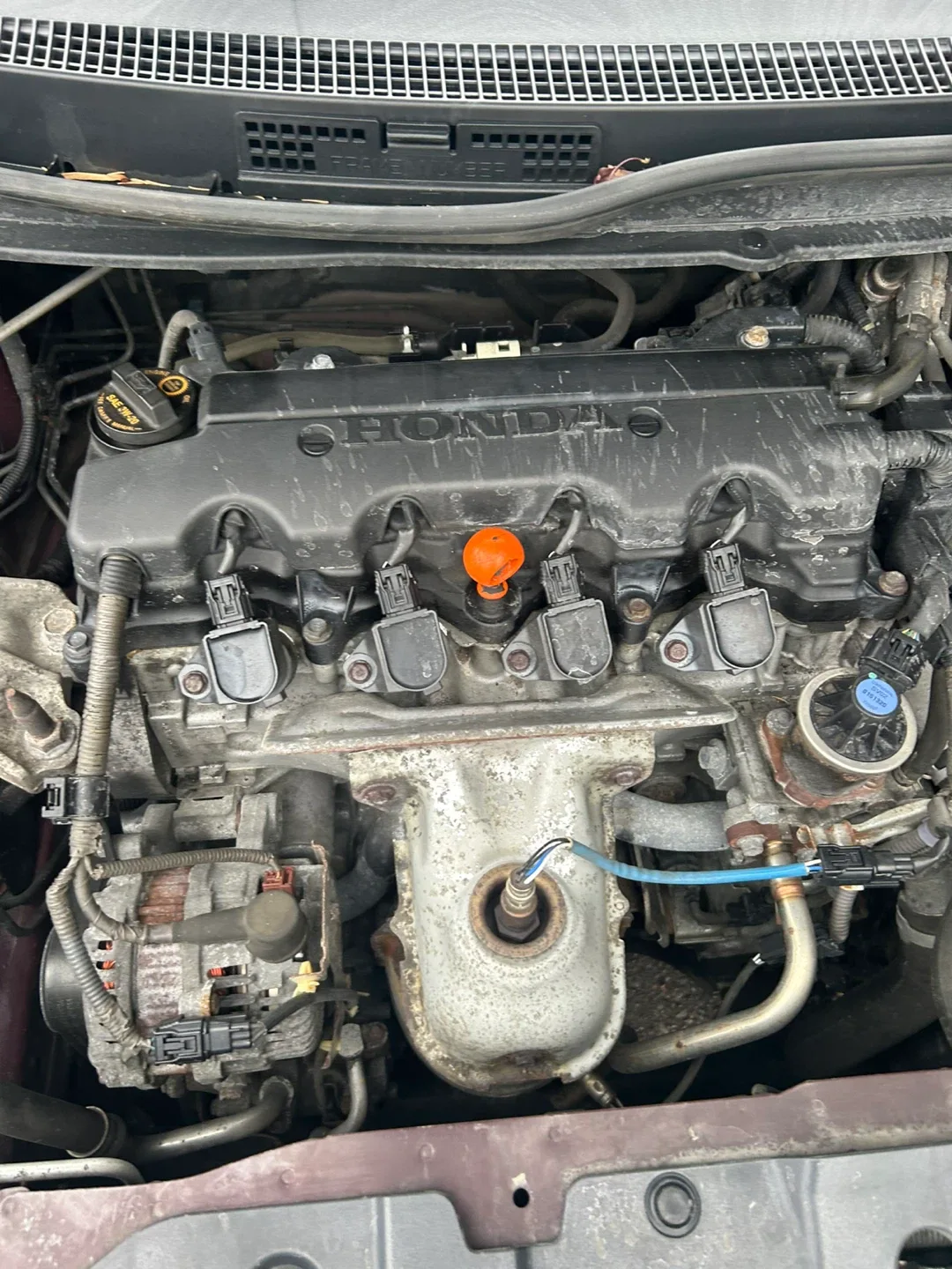 Car image indicator(2)