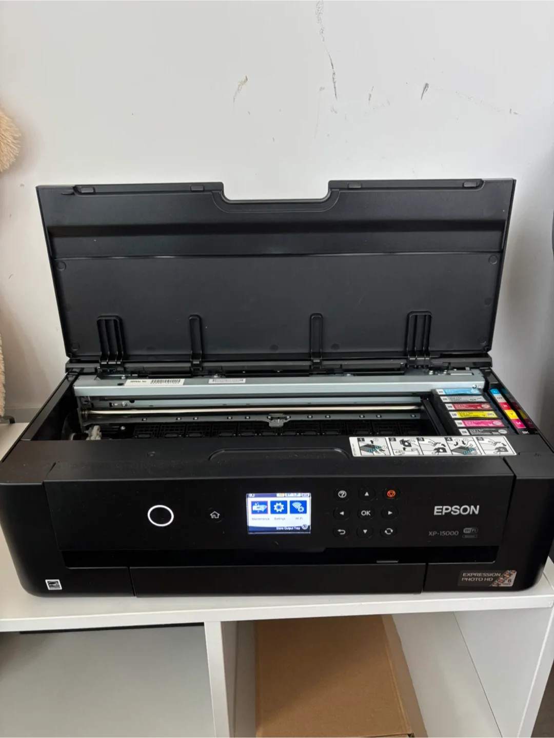 Epson XP-15000 image indicator(4)