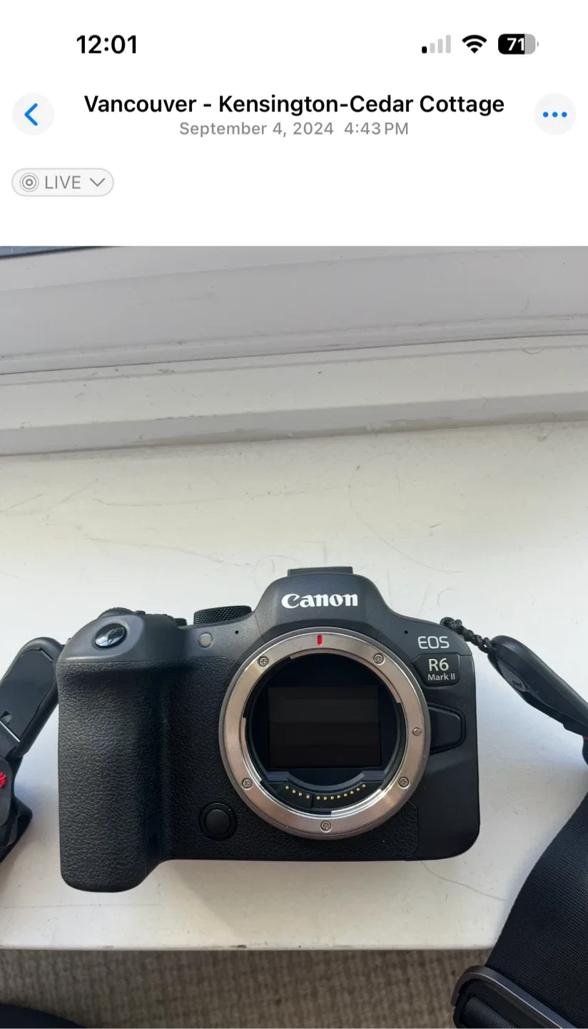 Canon EOS R6 Mark II Camera image indicator(2)