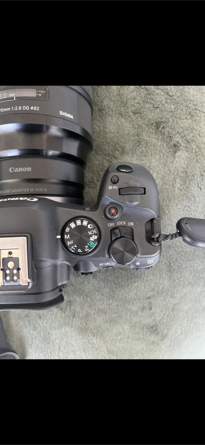 Canon EOS R6 Mark II Camera image indicator(6)