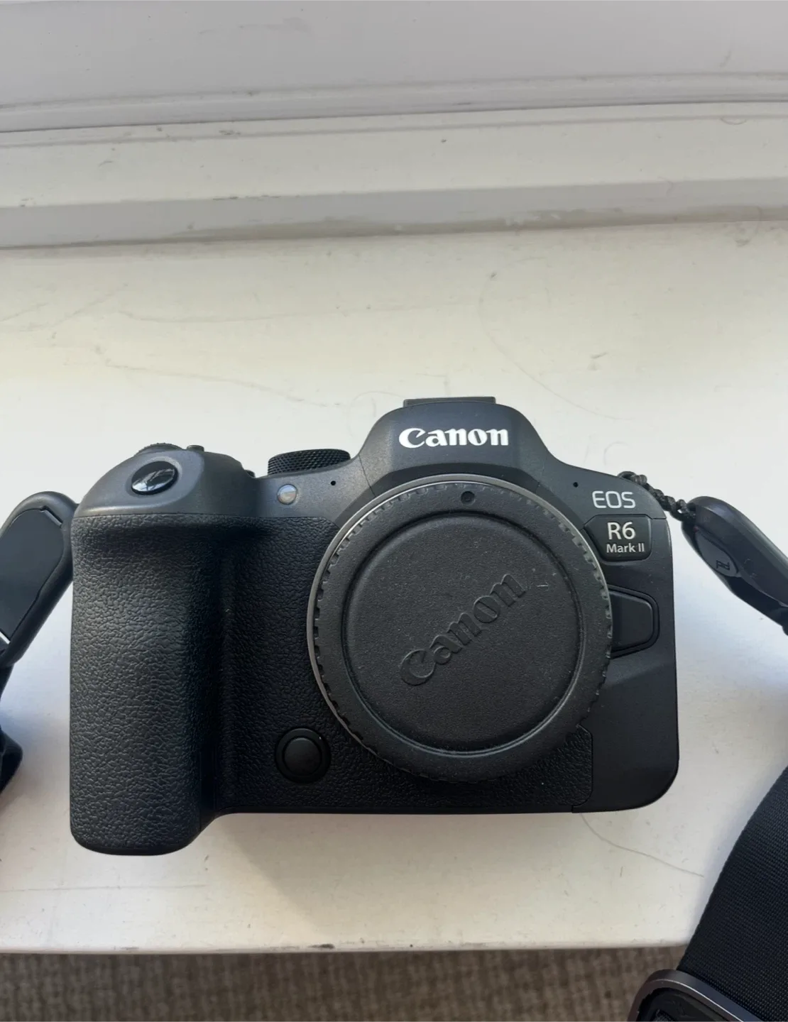 Canon EOS R6 Mark II Camera
