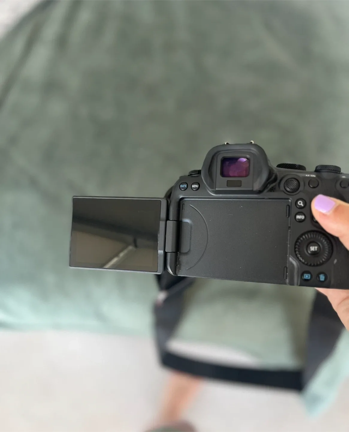 Canon EOS R6 Mark II Camera image indicator(7)