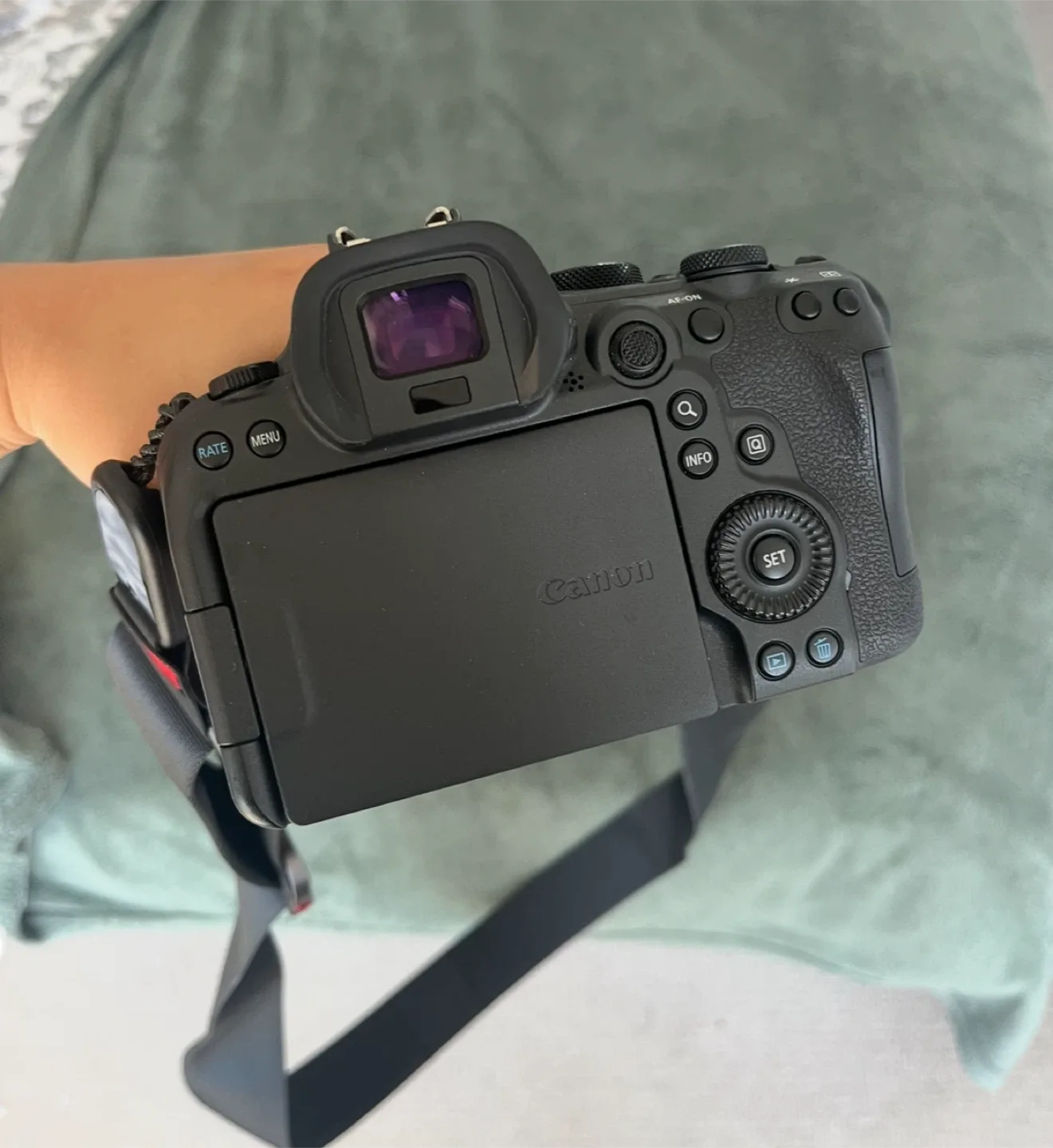 Canon EOS R6 Mark II Camera image indicator(8)