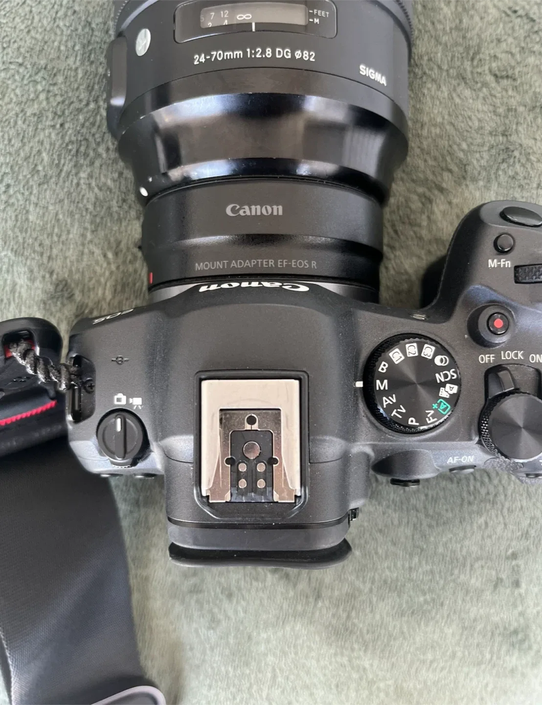 Canon EOS R6 Mark II Camera image indicator(9)