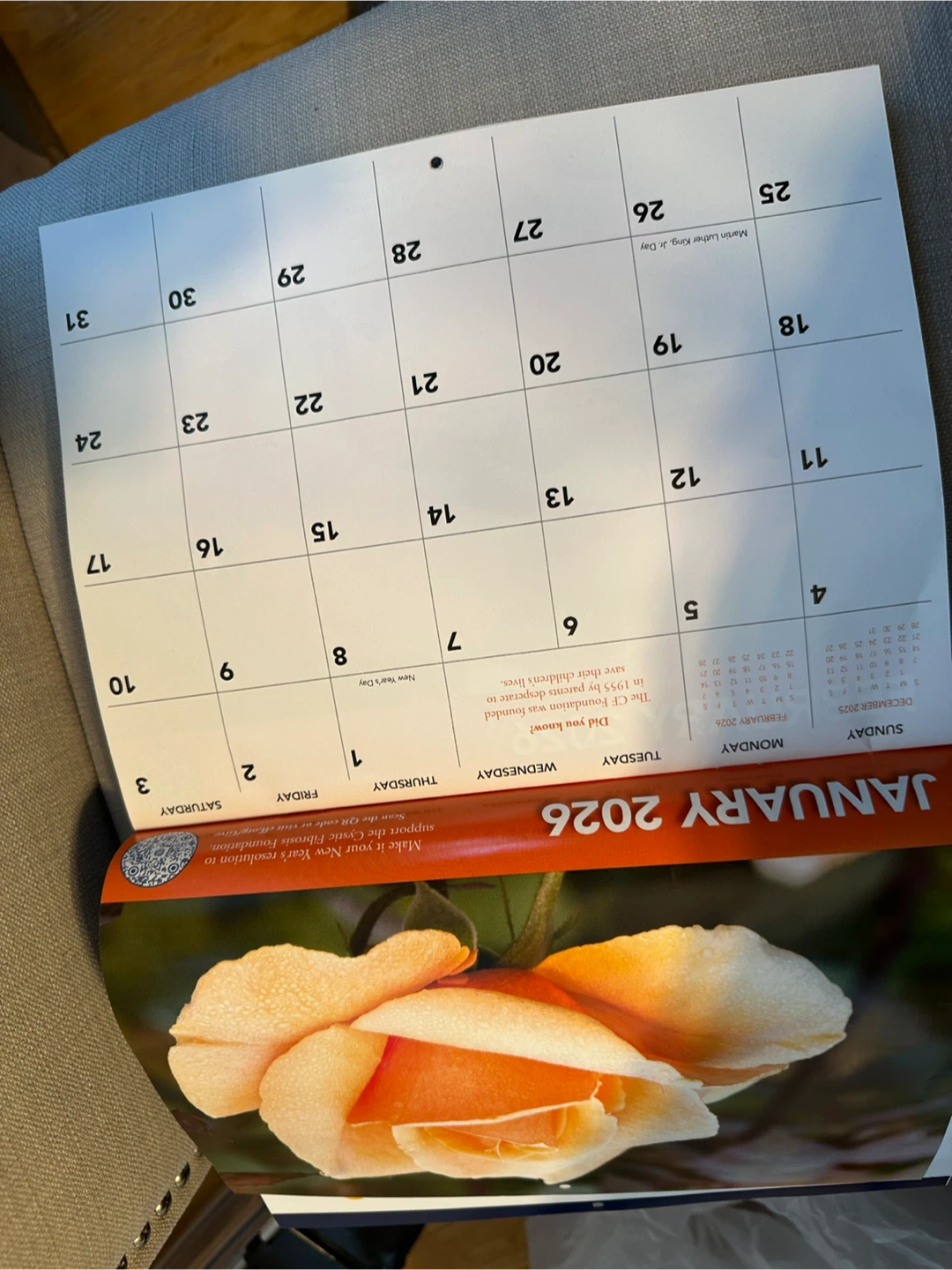 65 Roses 2026 Calendar - photo 2