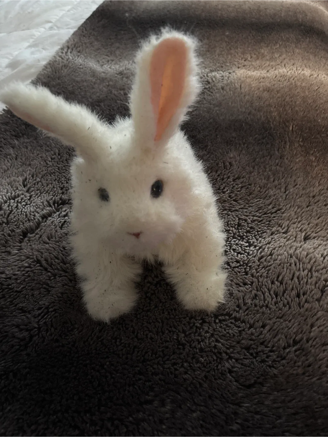 #freecycle White electronic hopping Bunny
