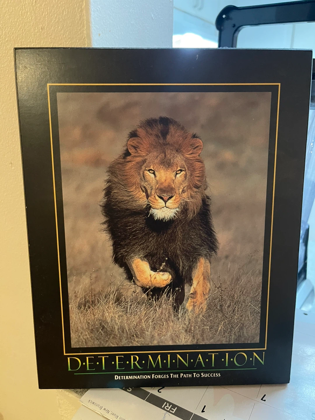 Framed Lion 'Determination' Print