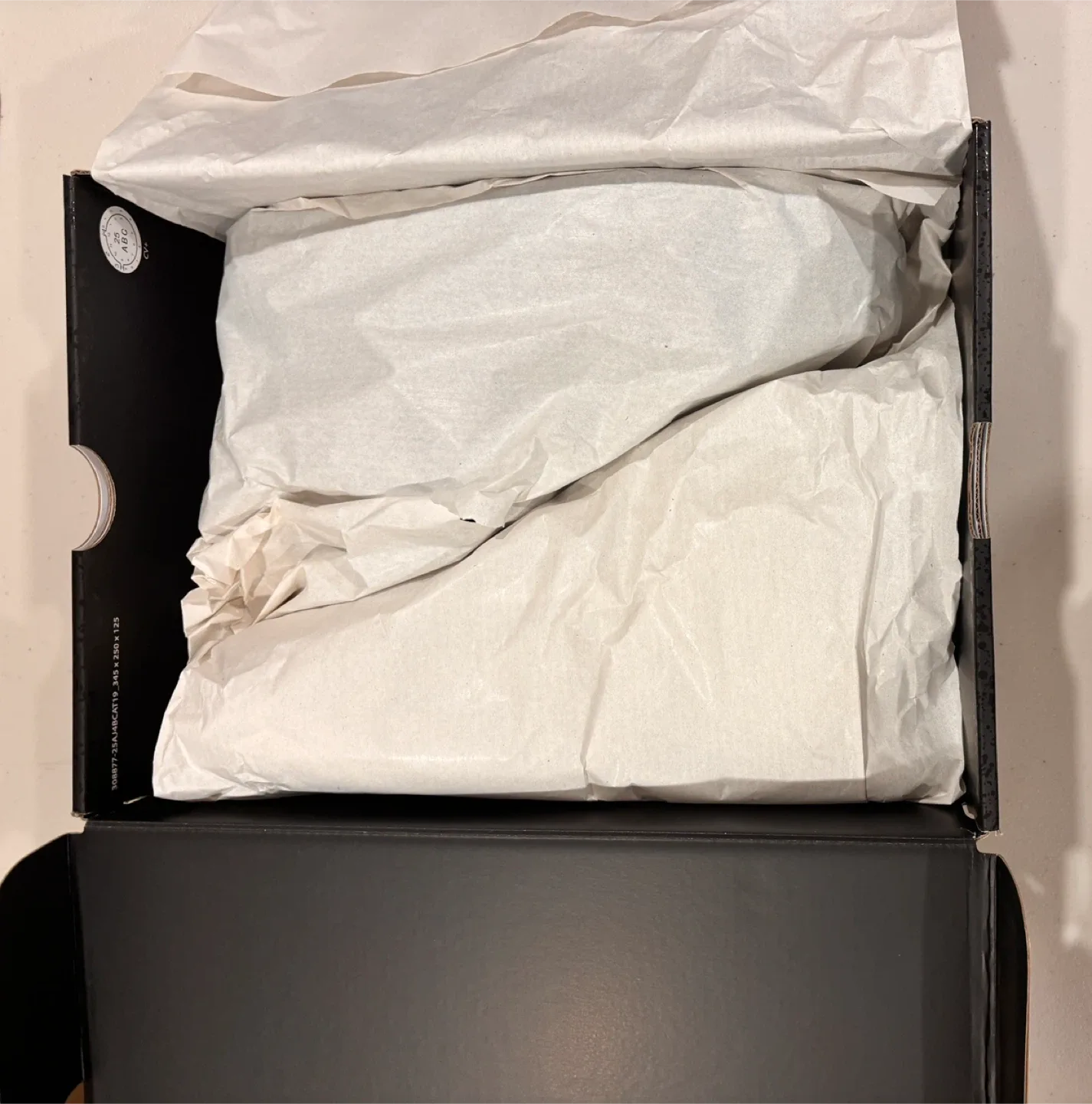 Nike Air Jordan 4 Retro Black Cat 2025 NEW WITH RECEIPT image indicator(8)