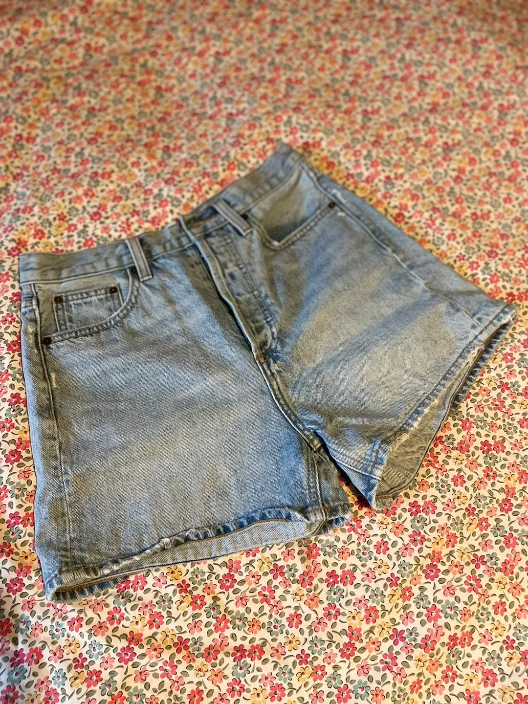 Aritzia jorts