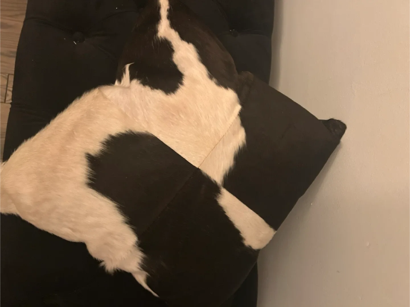 Black and White Print Throw Pillow image indicator(5)