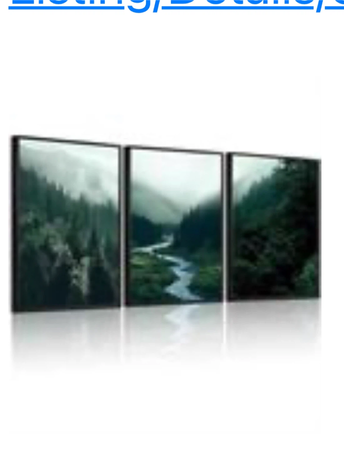 3 piece Wall art