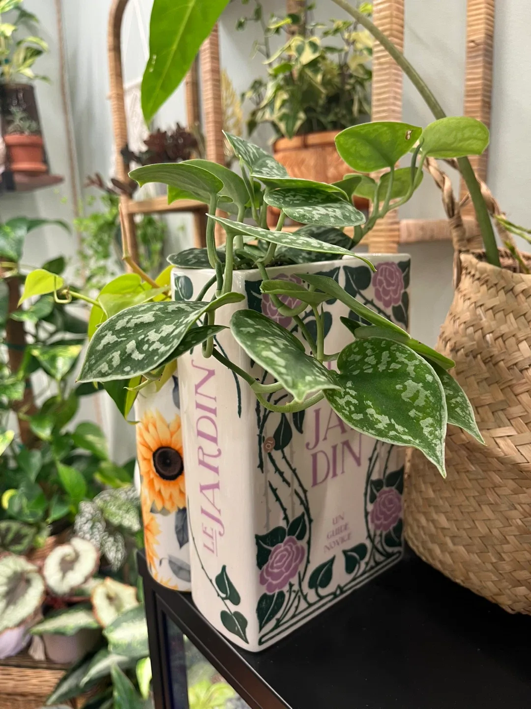 Ceramic book planter set w/ drainage