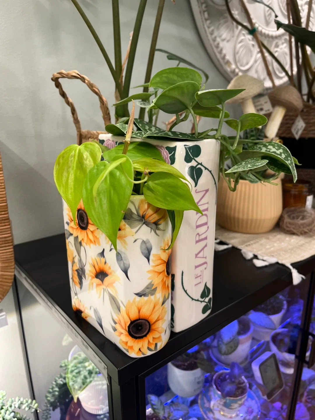 Ceramic book planter set w/ drainage image indicator(3)