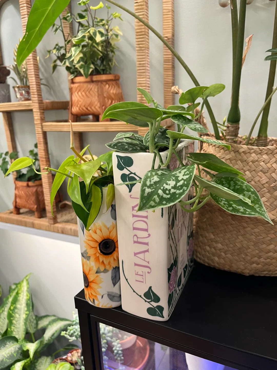 Ceramic book planter set w/ drainage image indicator(2)