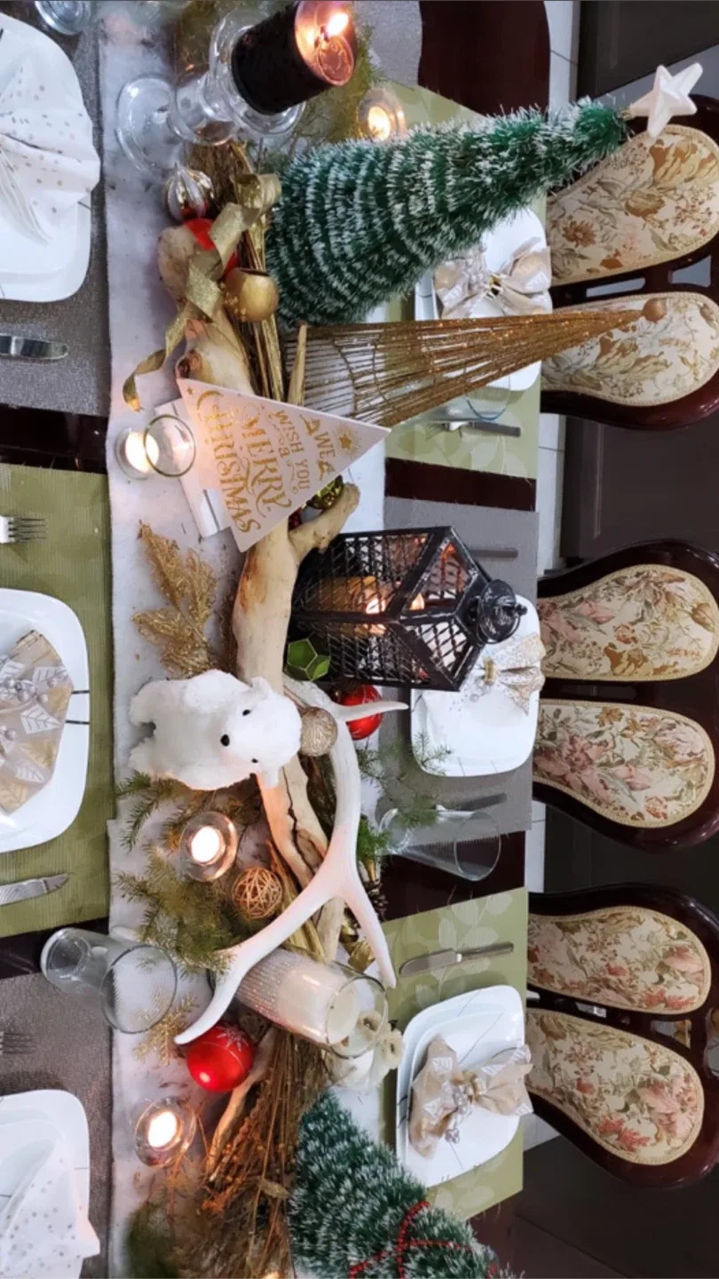 Christmas Decorations image indicator(3)