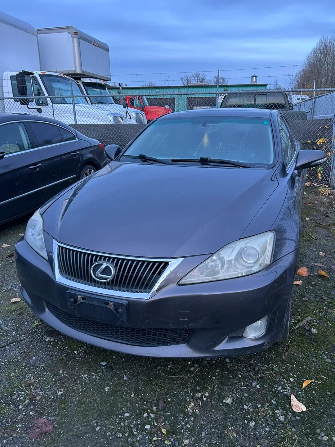 Lexus IS 250 Sedan - Great Condition!